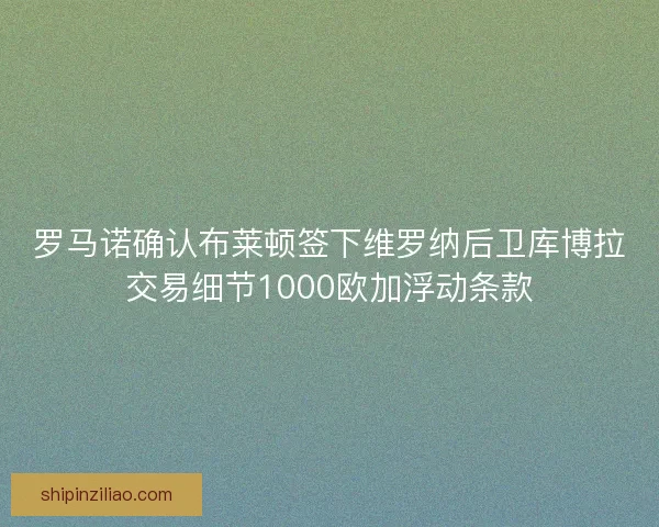 罗马诺确认布莱顿签下维罗纳后卫库博拉交易细节1000欧加浮动条款