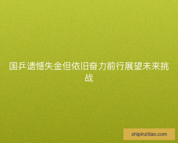 国乒遗憾失金但依旧奋力前行展望未来挑战