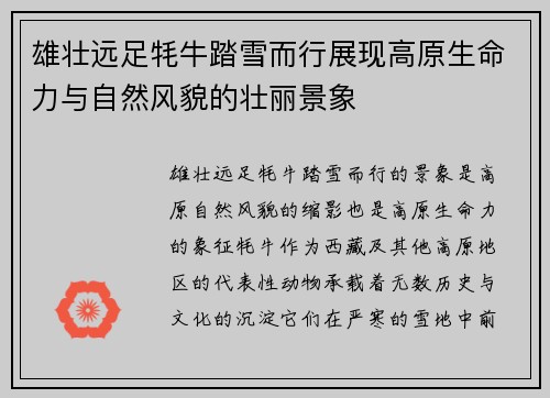 雄壮远足牦牛踏雪而行展现高原生命力与自然风貌的壮丽景象